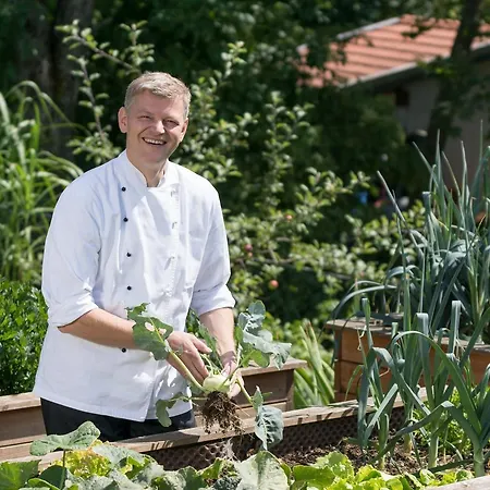 بيت ضيافة Zum Ebenstein Am Donausteig
