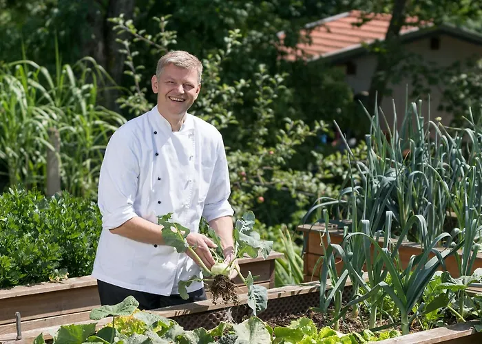 Pensjonat Zum Ebenstein Am Donausteig